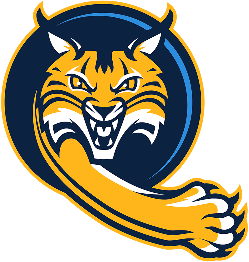 Quinnipiac Bobcats 2019-Pres Alternate Logo v4 diy iron on heat transfer